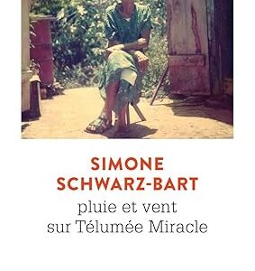 Grade 10 - Simon Scwarz-Bart - pluie et vent sur telumee Miracle - Points